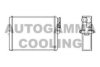AUTOGAMMA 102552 Heat Exchanger, interior heating